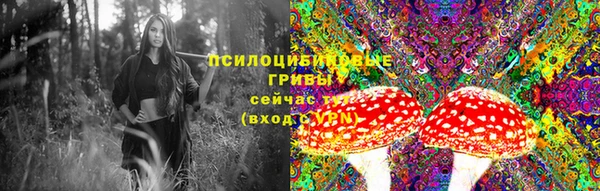 скорость Медвежьегорск