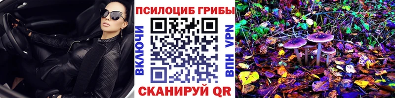 Галлюциногенные грибы Psilocybe  Керчь 